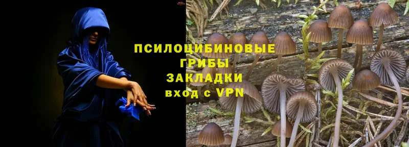 Галлюциногенные грибы Magic Shrooms  Лесозаводск 